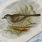 Victorian Bird Trade Card | Hedge Sparrow