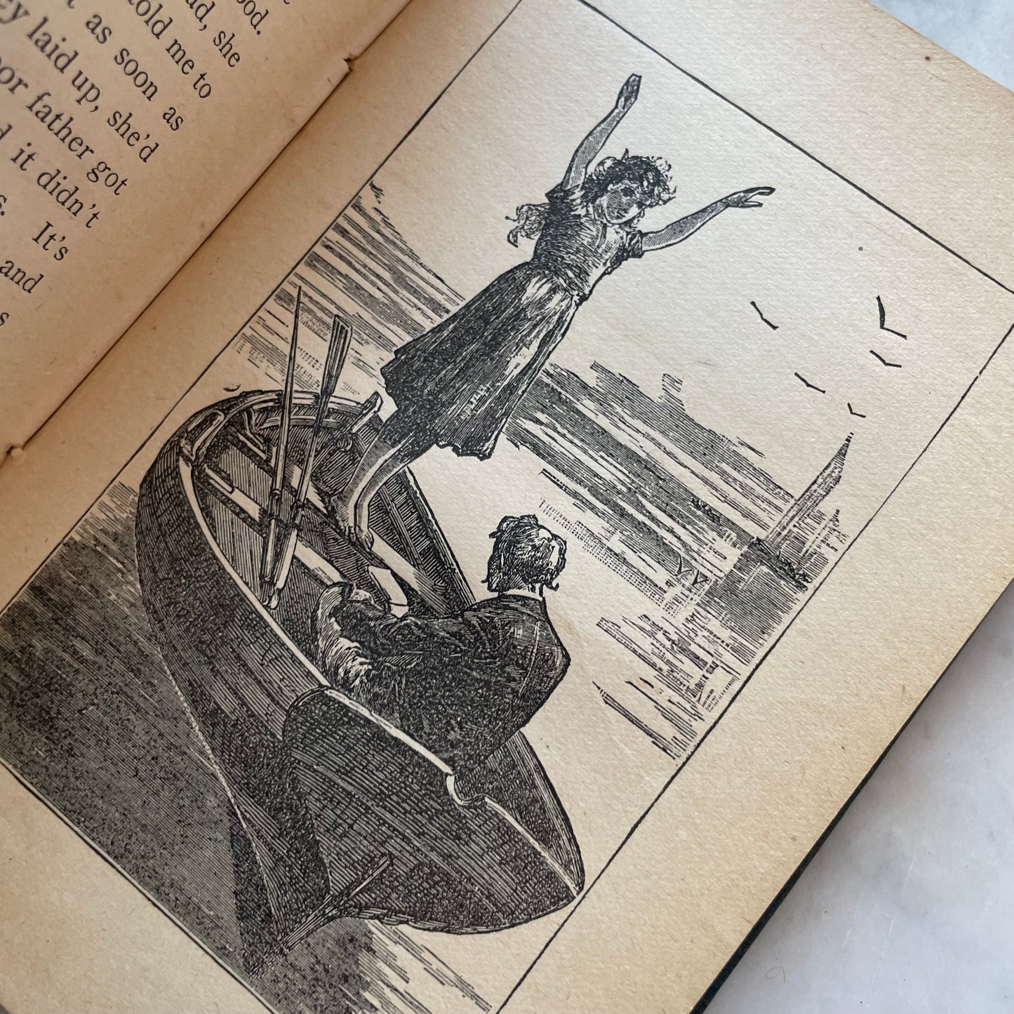 Victorian Children’s Book | The Shaggy Dog