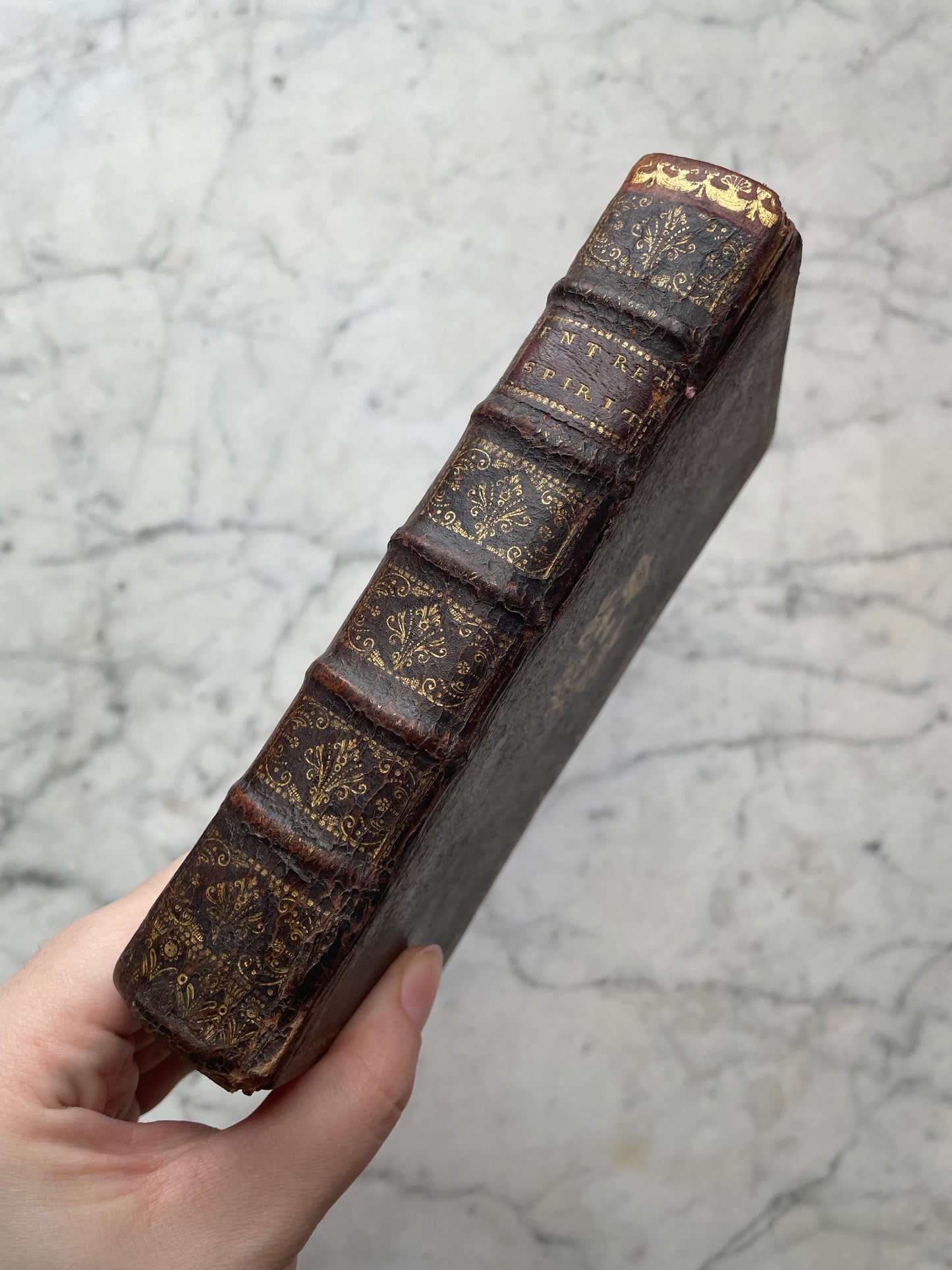 Antique Hollow Book Safe