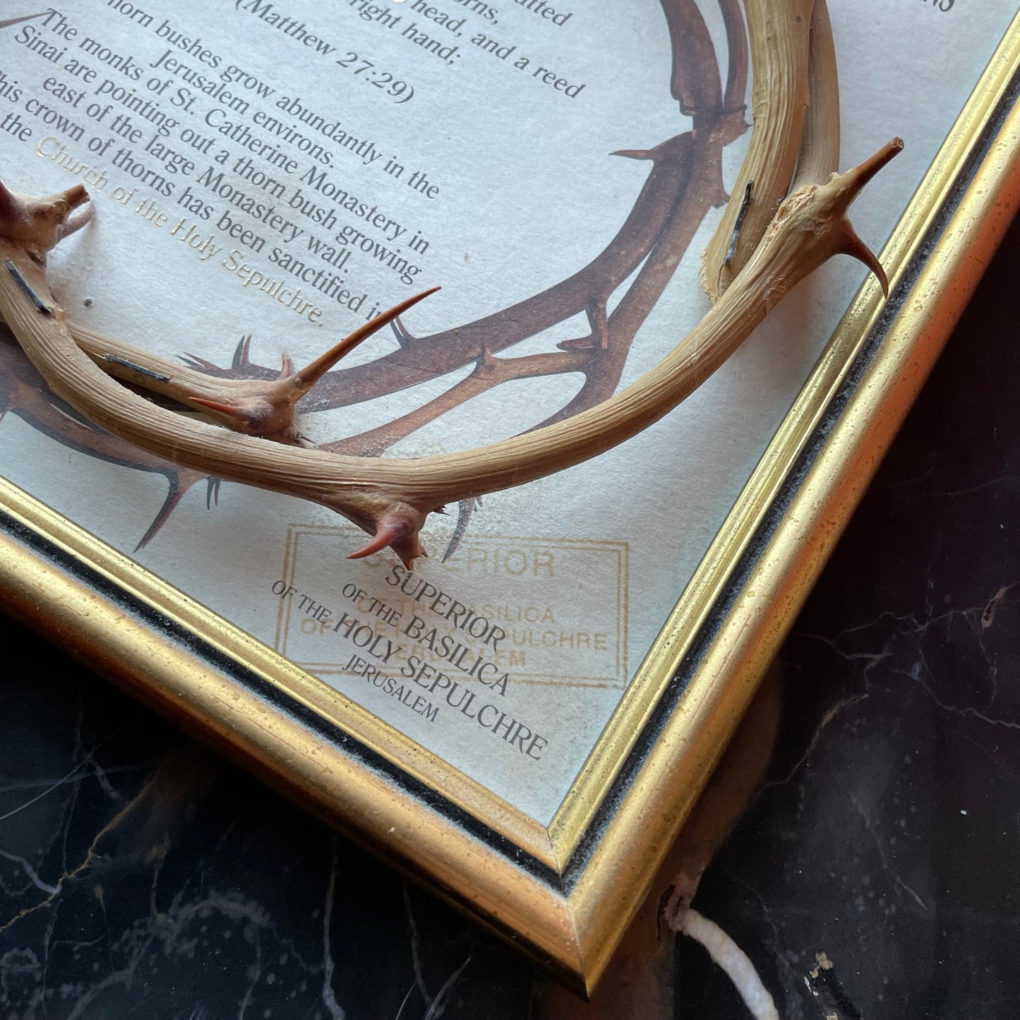 Vintage Crown of Thorns Holy Land Souvenir