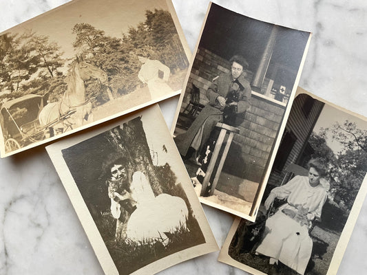 Animal Lovers | Snapshot Lot