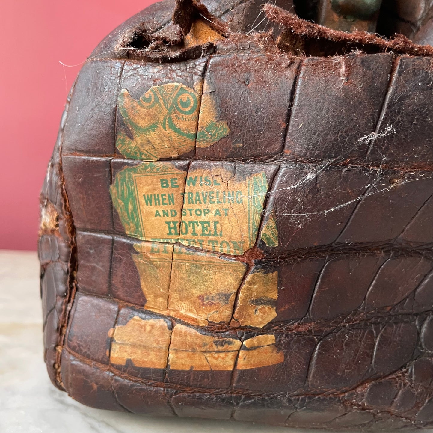 Antique Alligator Travel Bag