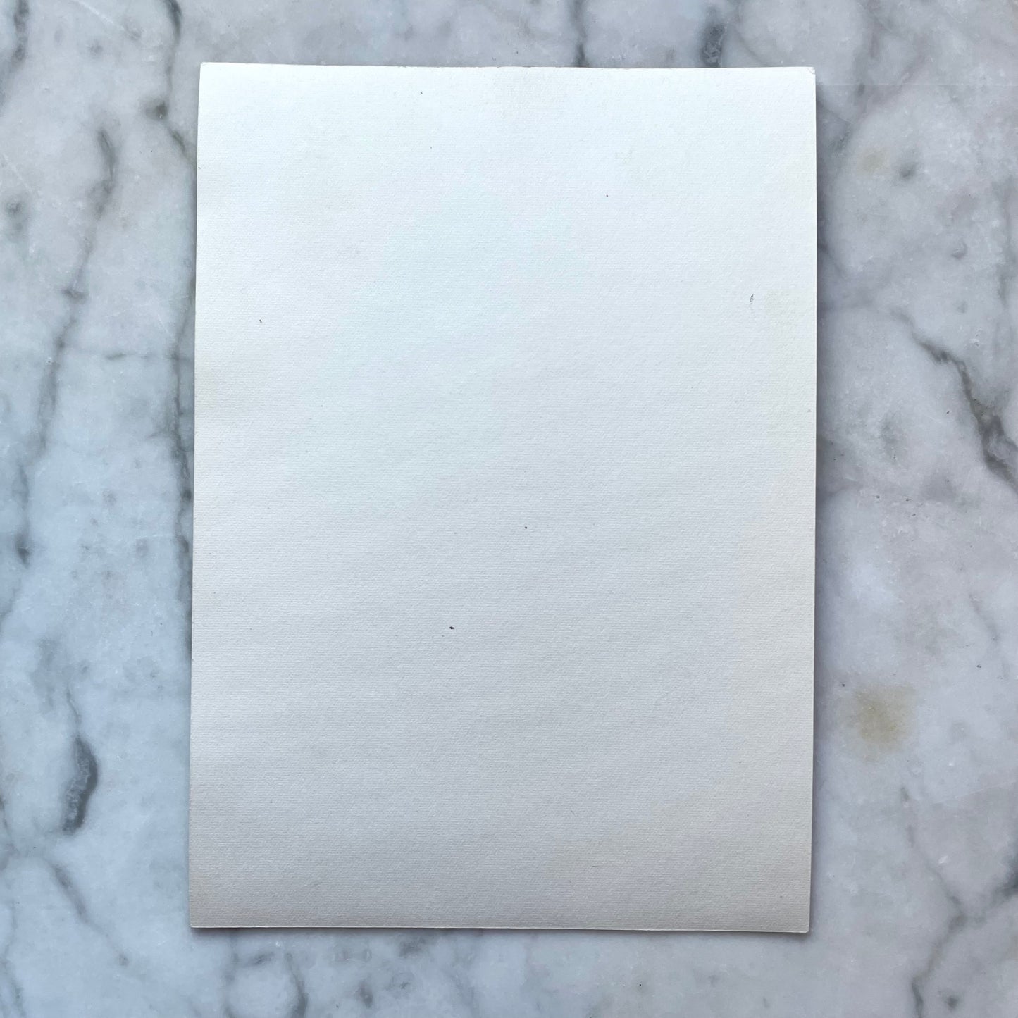 Gloria Swanson Signed Photo | 1946