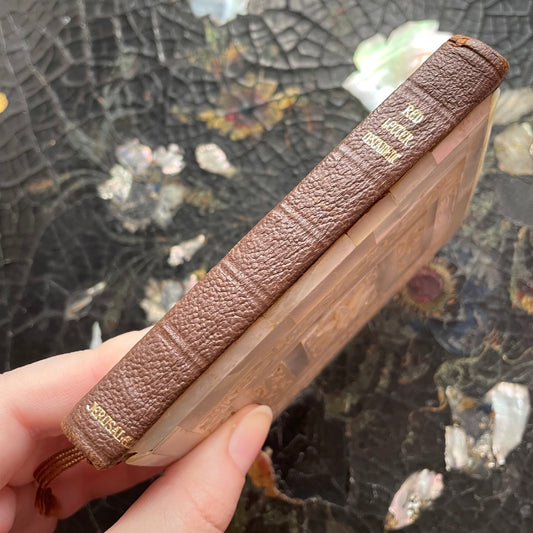 Antique Mother of Pearl Bible | Red Letter New Testament