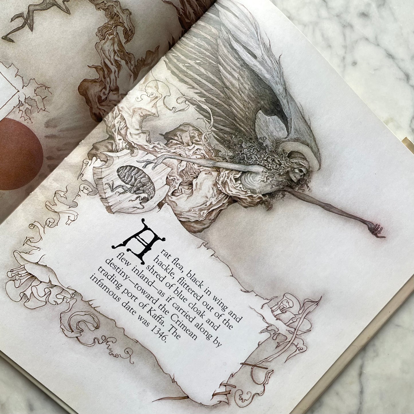 Master Snickup’s Cloak illustrated by Brian Froud