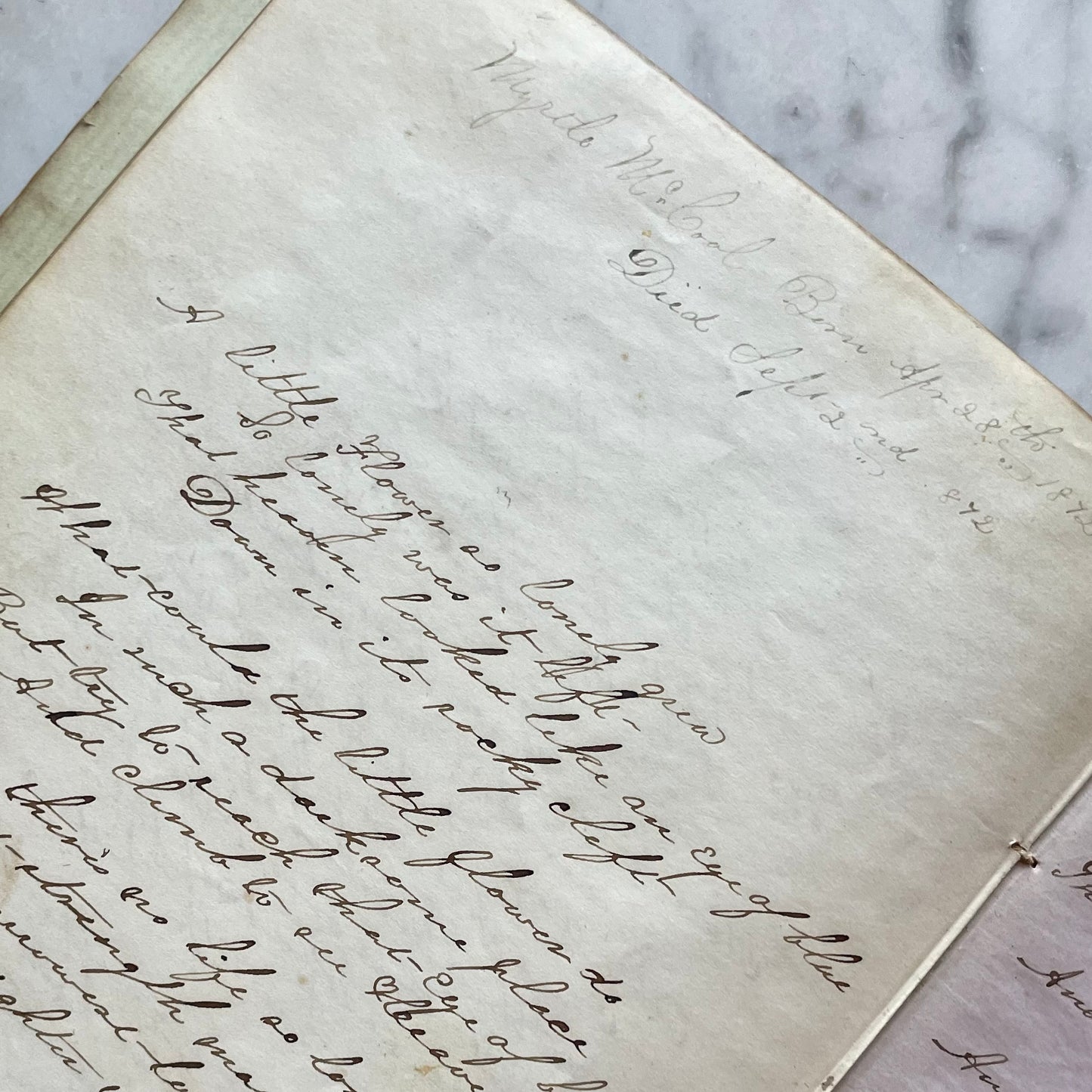 Victorian Mourning Album | Frances Eliza McCool | Portage, IN | 1858-1870s
