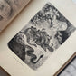 Animate Creation: Popular Edition of "Our Living World," A Natural History | 1890s