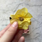 Antique Chinese Paper Flowers in Collar Box