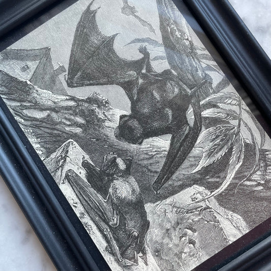 Victorian Bat Print
