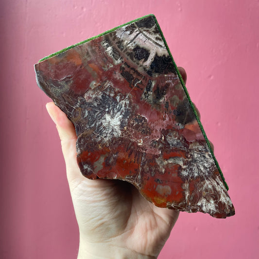 Vintage Petrified Wood Bookends