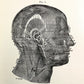 Victorian Medical Book | A System of Practical Therapeutics edited by Hobart Amory Hare, MD | Vol. III | 1892
