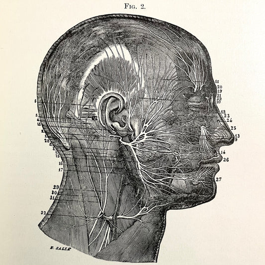 Victorian Medical Book | A System of Practical Therapeutics edited by Hobart Amory Hare, MD | Vol. III | 1892