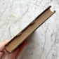 Biography of Shelley by John Addington Symonds, 1897