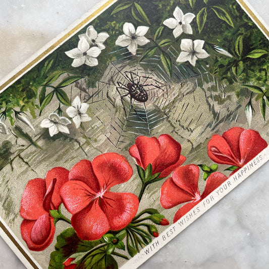 Victorian Spiderweb Greeting Card