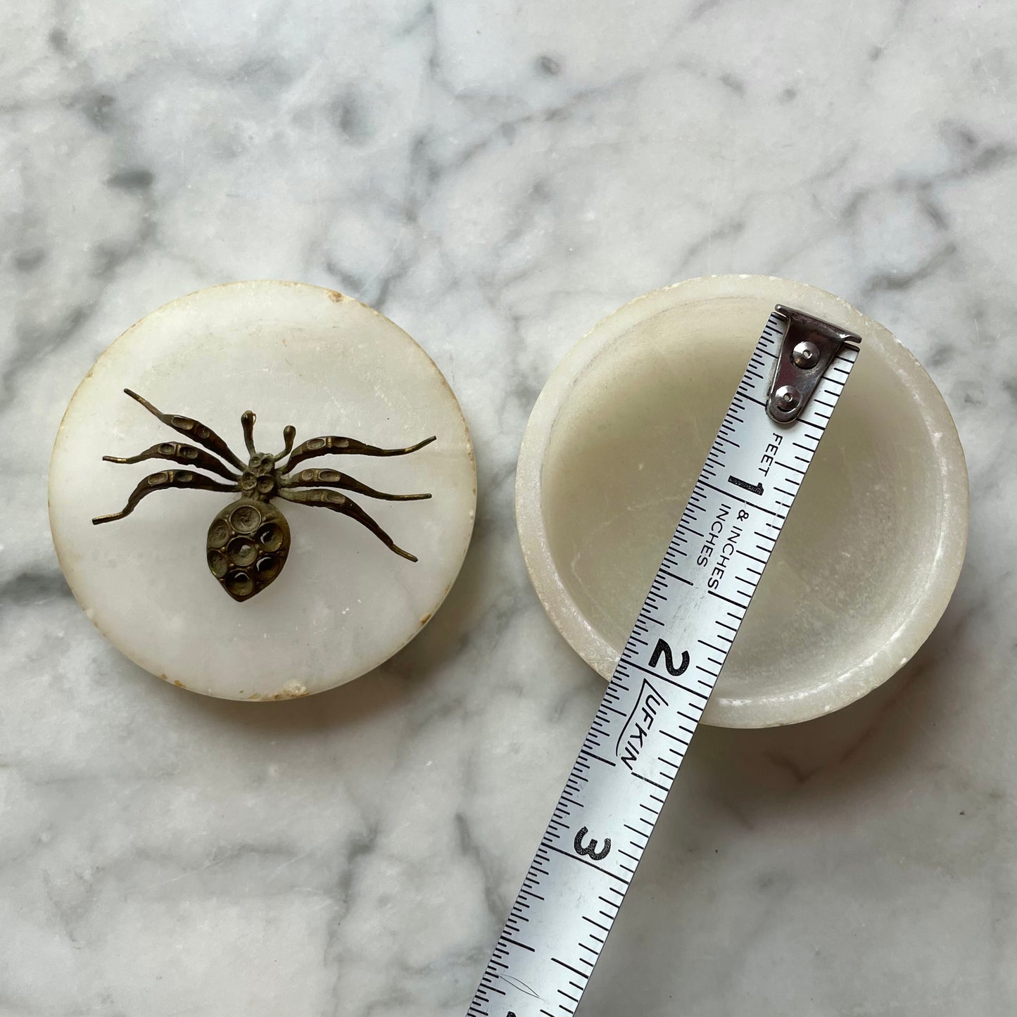 Alabaster Box with Spider