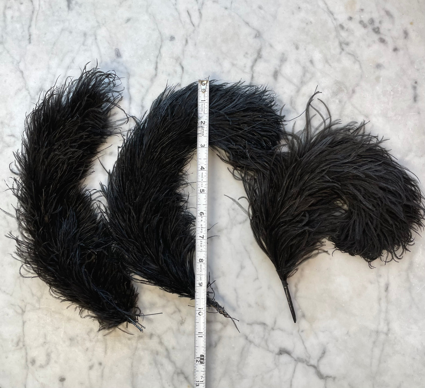 Antique Millinery Ostrich Feathers