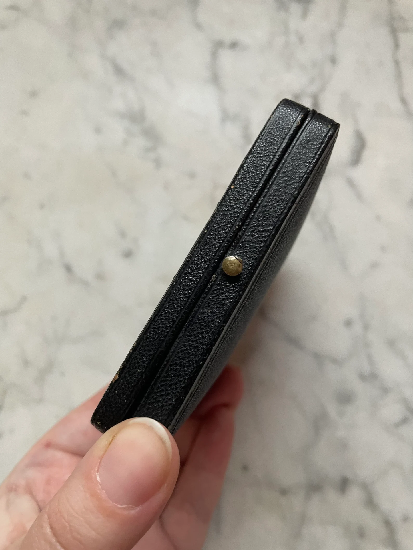 Victorian Hair Keepsake in 1/6 Plate Leather Case