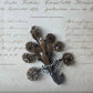 Victorian Mourning Shadow Box with Hair Keepsake