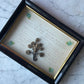 Victorian Mourning Shadow Box with Hair Keepsake