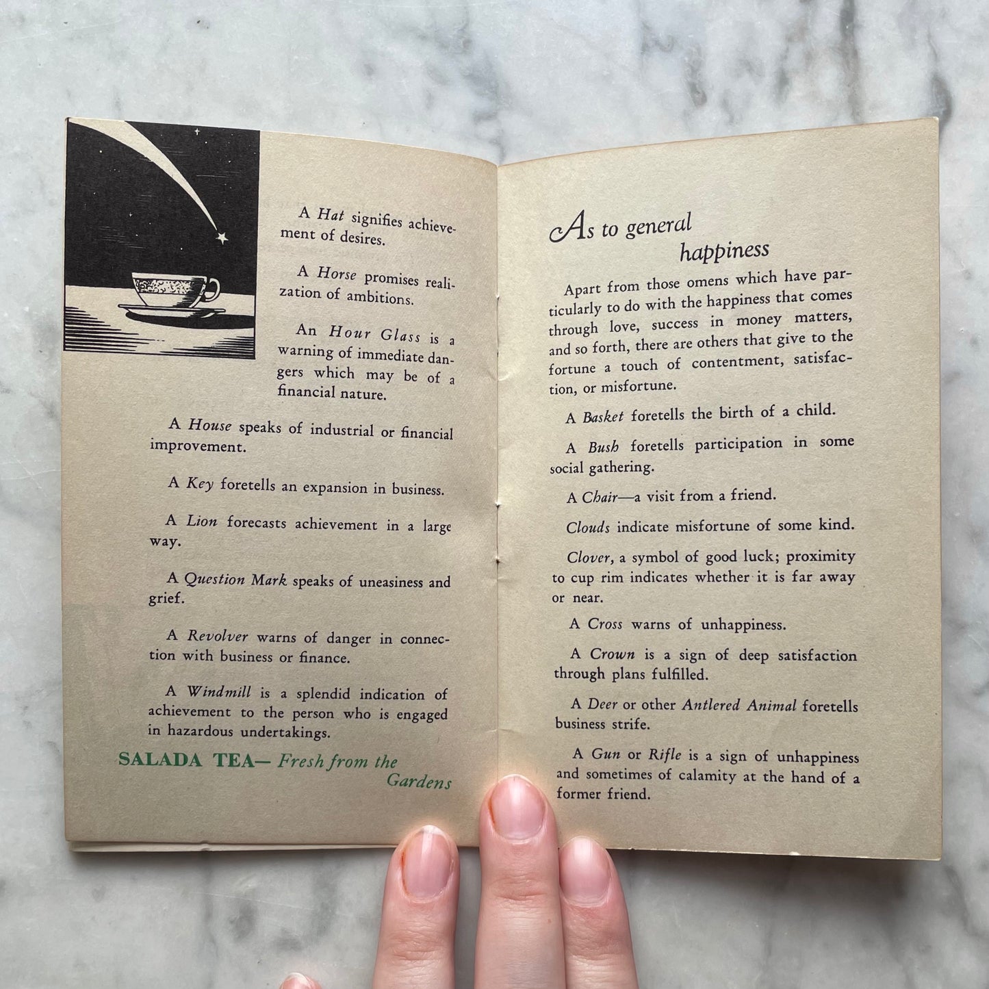 Vintage Salada Tea Cup Reading Guide