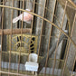 Antique Brass Bird Cage